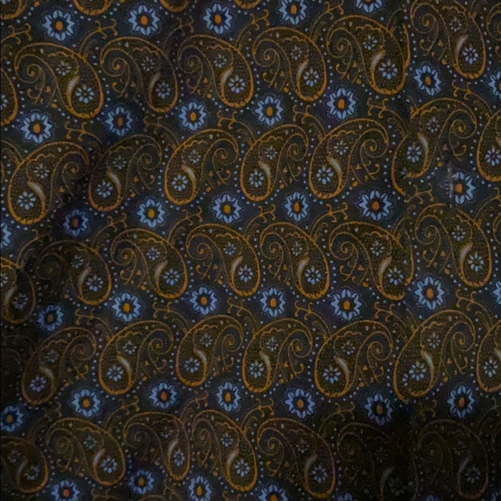 paisley button down - Picture 3 of 4